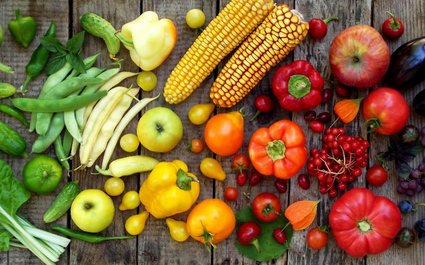 Anipla: relatório da DGAV mostra que pesticidas estão a ser usados de forma segura